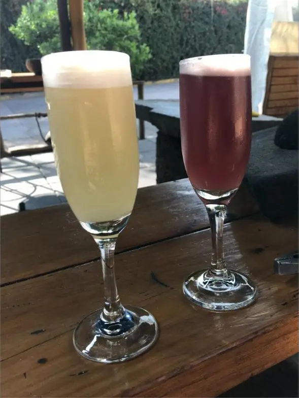 Ulmo sour y calafate sour en la terraza